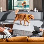 Mann og hund i en stue der Aqara FP2 registrerer tilstedeværelse